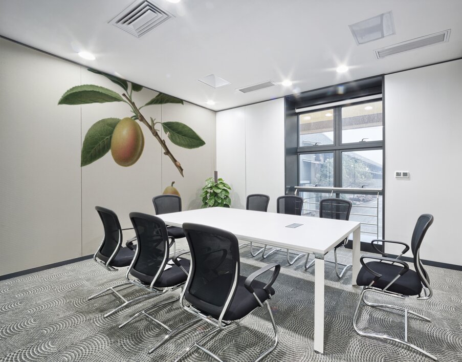 Armenian plum Prunus armeniaca from Pomona Italiana 1817 - 1839 by Giorgio Gallesio 1772-1839.  Wall Printing