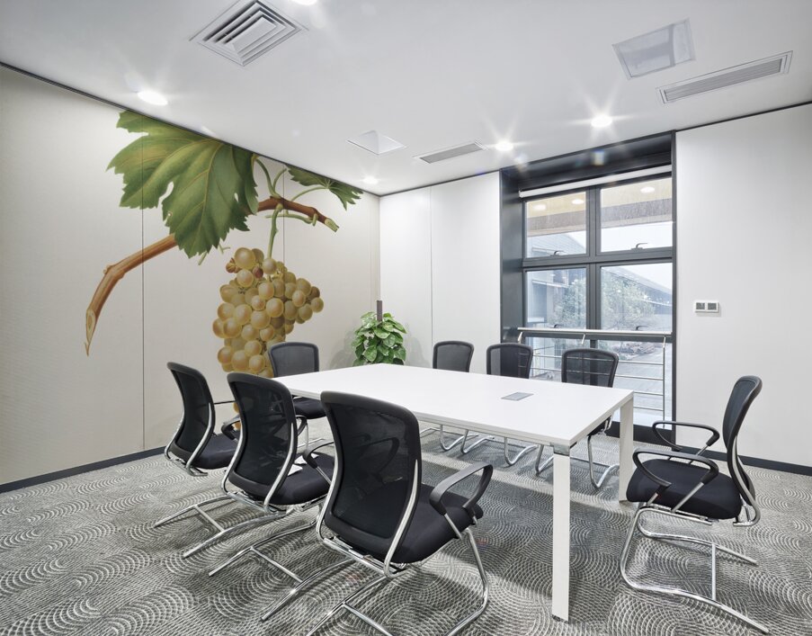 Grape vine Vitis vinifera Niciensis from Pomona Italiana 1817 - 1839 by Giorgio Gallesio 1772-1839.  Wall Printing