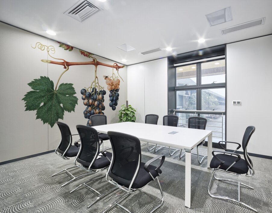 Summer grape Vites vinifera bicolor from Pomona Italiana 1817 - 1839 by Giorgio Gallesio 1772-1839.  Wall Printing