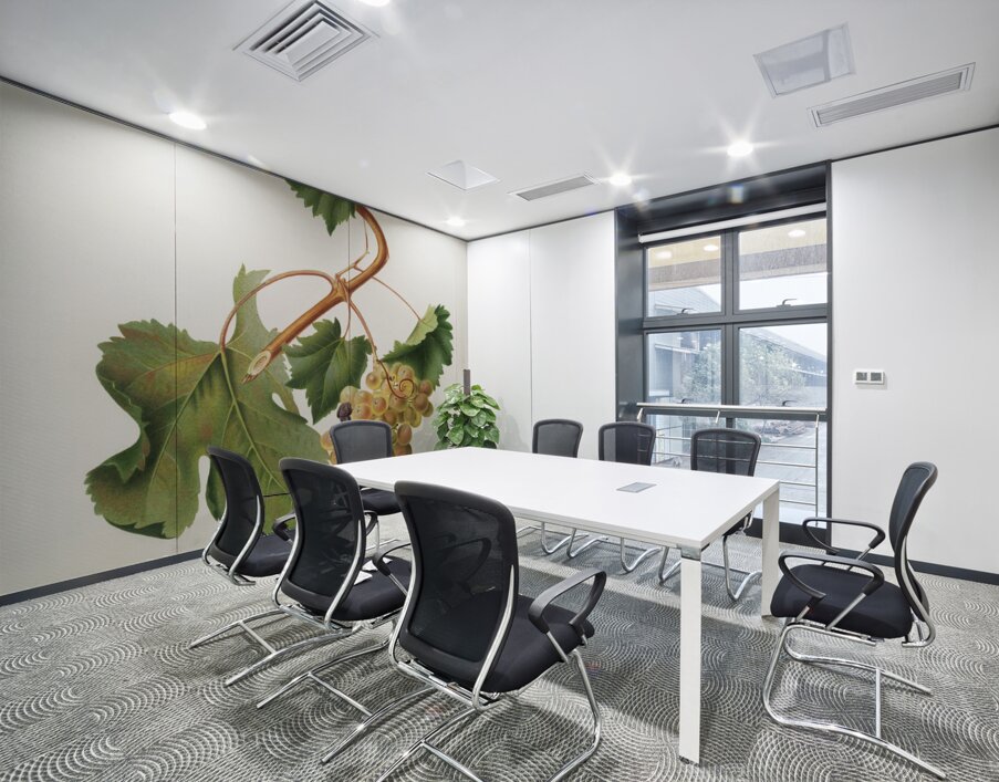 Vermentino grapes Vitis ligustica feracissima from Pomona Italiana 1817 - 1839 by Giorgio Gallesio 1772-1839.  Wall Printing