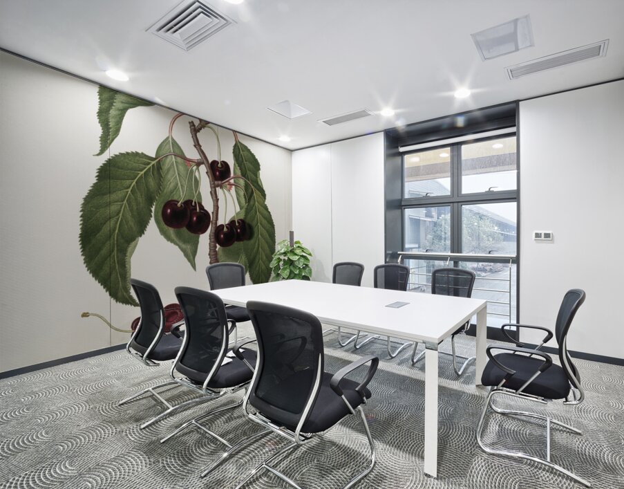 Hard-fleshed Cherry Cerasus Duracina from Pomona Italiana 1817 - 1839 by Giorgio Gallesio 1772-1839.  Wall Printing