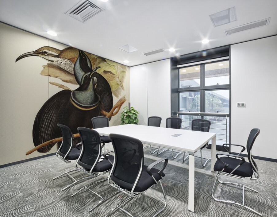 Magnificent Rifle-bird Ptiloris magnifica illustrated by Elizabeth Gould 1804–1841 for John Gould’s 1804-1881 Birds of Australia  Wall Printing