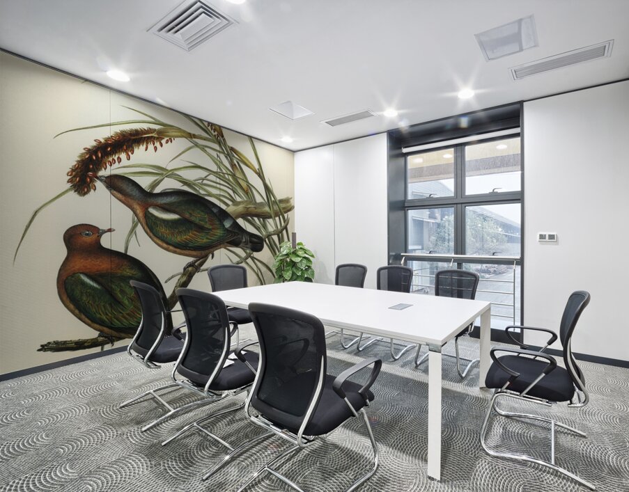 Swainson’s Graucalus Graucalus Swainsonii illustrated by Elizabeth Gould 1804–1841 for John Gould’s 1804-1881 Birds of Australia  Wall Printing