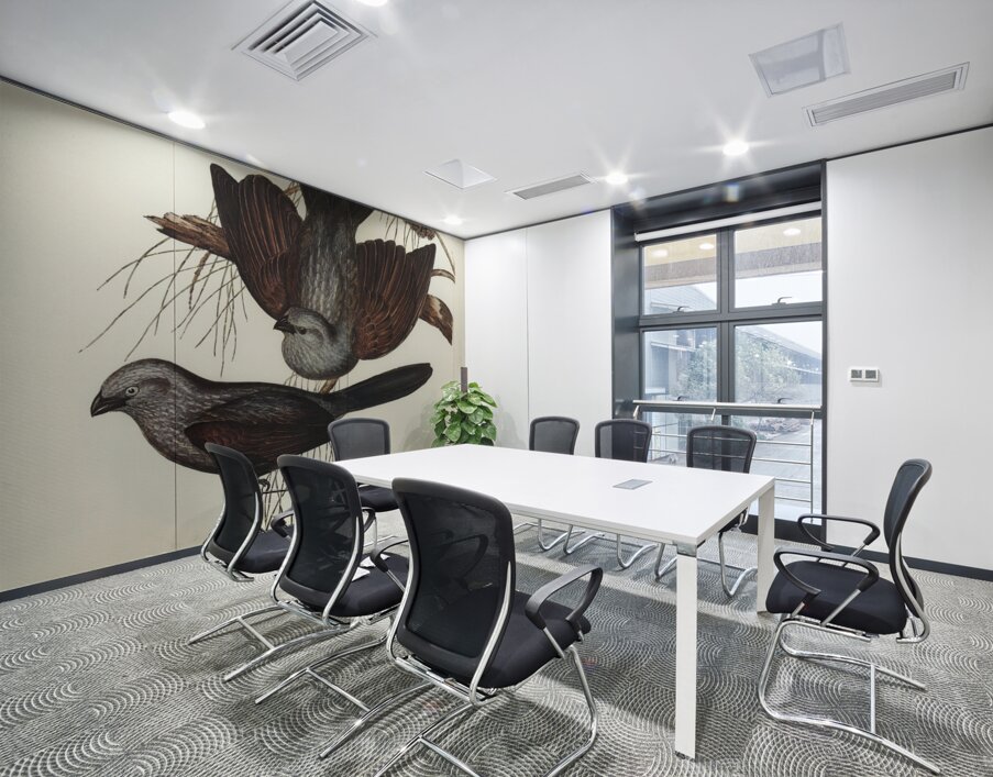 Grey Struthidea Struthidea cinerea illustrated by Elizabeth Gould 1804–1841 for John Gould’s 1804-1881 Birds of Australia  Wall Printing