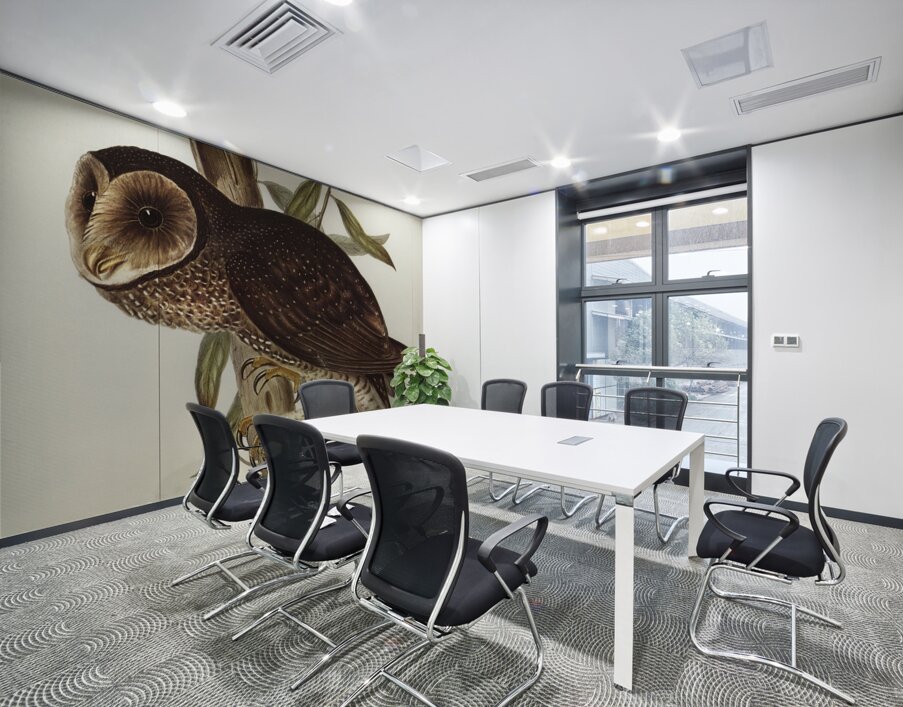 Sooty Owl Strix tenebricosus Gould illustrated by Elizabeth Gould 1804–1841 for John Gould’s 1804-1881 Birds of Australia  Wall Printing