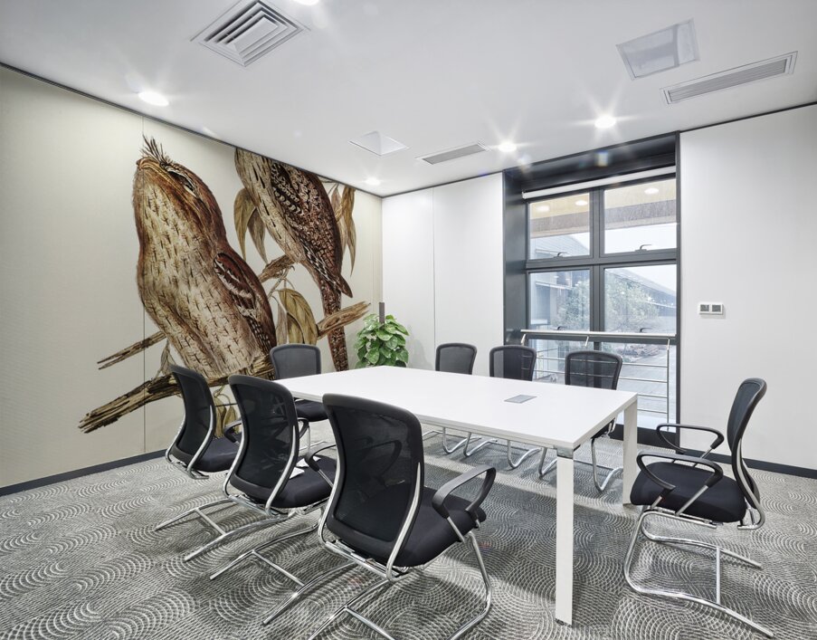 Podargus Phalaenoides and Moth-plumaged Podargus Gould Iillustrated by Elizabeth Gould 1804–1841 for John Gould’s 1804-1881 Birds of Australia  Wall Printing