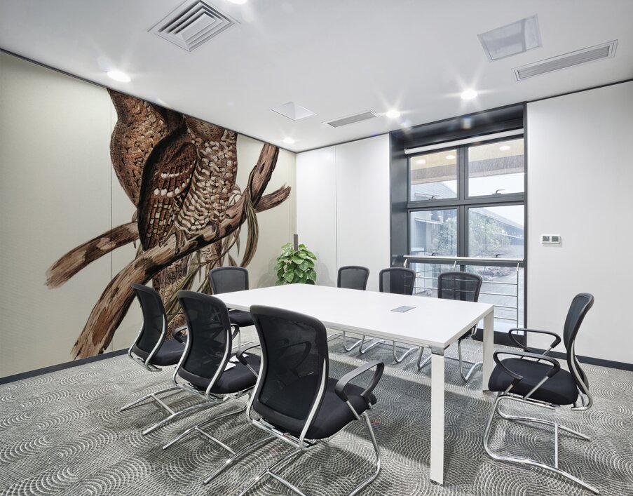 Plumed Podargus Podargus plumiferus illustrated by Elizabeth Gould 1804–1841 for John Gould’s 1804-1881 Birds of Australia  Wall Printing