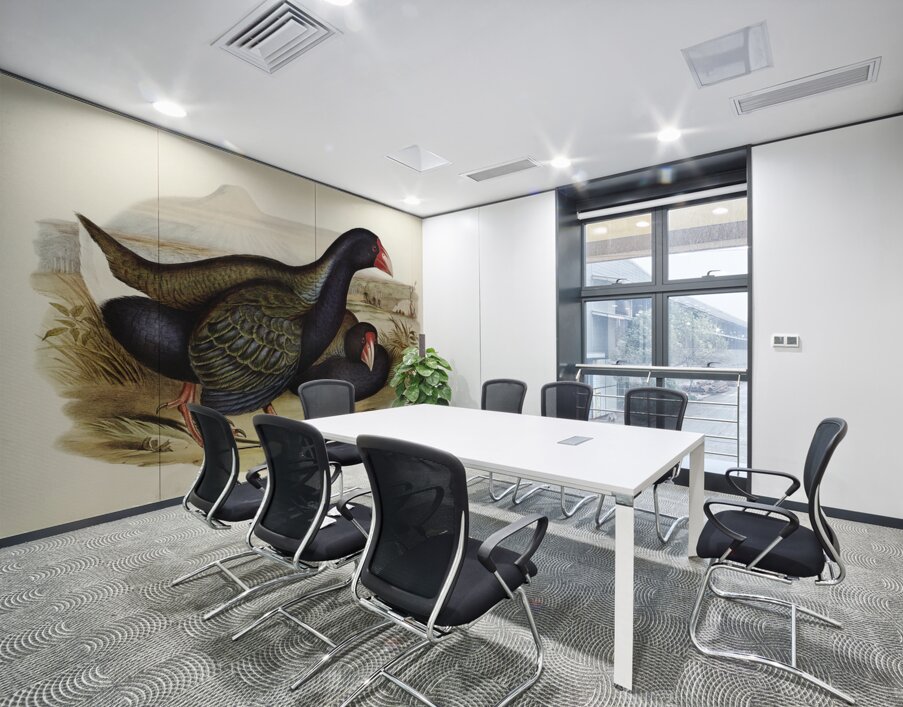 Notornis Notornix Mantelli illustrated by Elizabeth Gould 1804–1841 for John Gould’s 1804-1881 Birds of Australia  Wall Printing