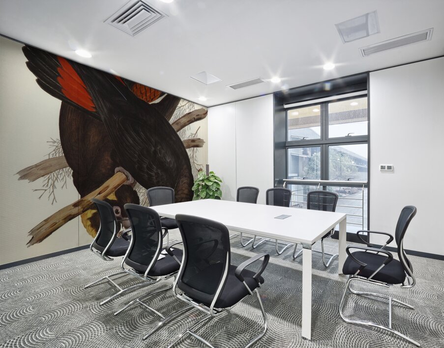 Leachs Cockatoo Calyptorhynchus Leachii illustrated by Elizabeth Gould 1804–1841 for John Gould’s 1804-1881 Birds of Australia  Wall Printing