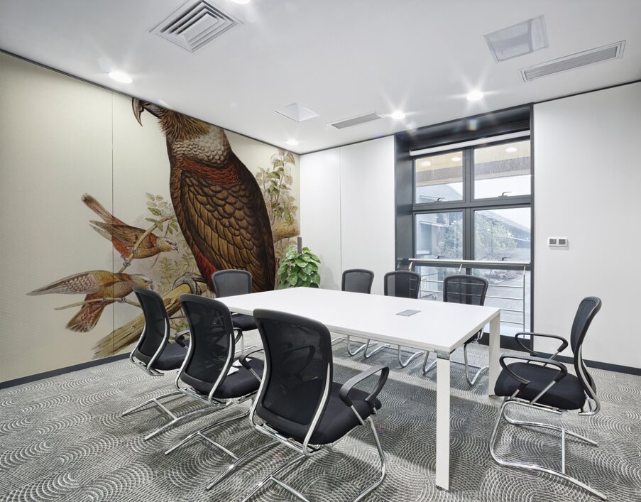 Jardine’s cuckooshrike Campephaga Jardinii illustrated by Elizabeth Gould 1804–1841 for John Gould’s 1804-1881 Birds of Australia  Wall Printing