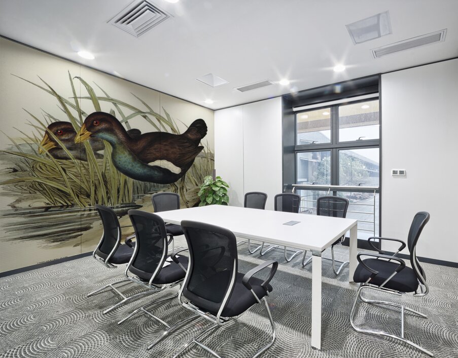 Australian Wild Duck Anus superciliosa illustrated by Elizabeth Gould 1804–1841 for John Gould’s 1804-1881 Birds of Australia  Wall Printing