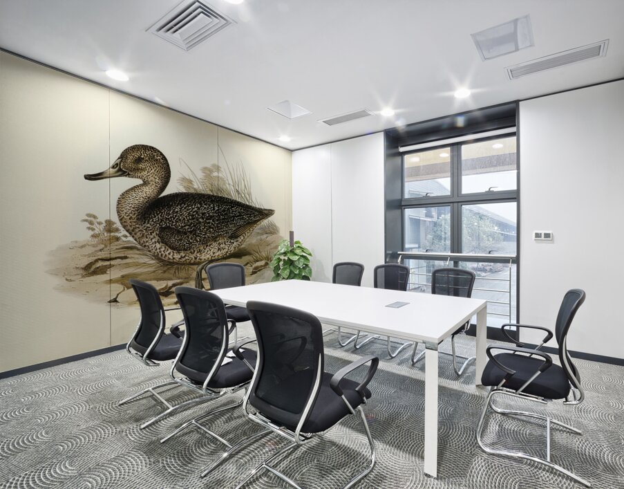 Freckled Duck Anus naevosa illustrated by Elizabeth Gould 1804–1841 for John Gould’s 1804-1881 Birds of Australia  Wall Printing