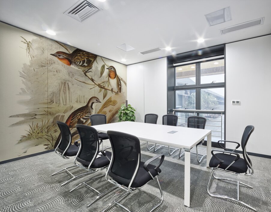 Spine-tailed Orthonyx Orthonyx spinicaudus illustrated by Elizabeth Gould 1804–1841 for John Gould’s 1804-1881 Birds of Australia  Wall Printing