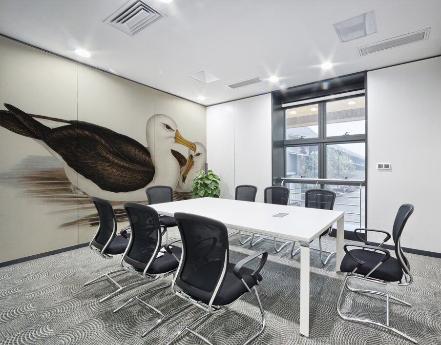 Black-eyebrowed Albatros Diomedea melanophrys illustrated by Elizabeth Gould 1804–1841 for John Gould’s 1804-1881 Birds of Australia  Wall Printing