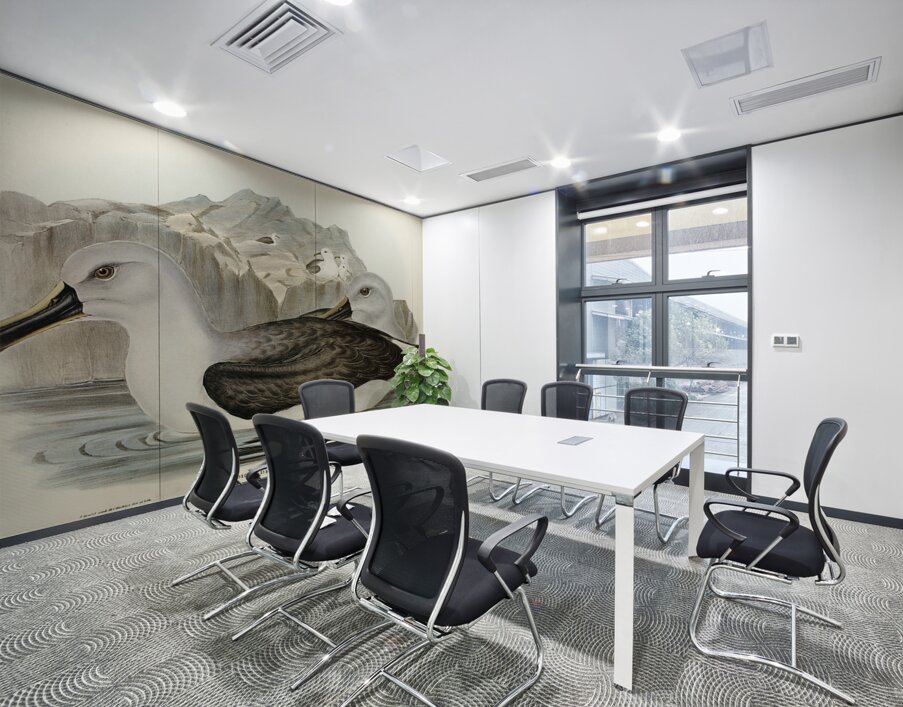 Culminated Albatros Diomedea culminata illustrated by Elizabeth Gould 1804–1841 for John Gould’s 1804-1881 Birds of Australia  Wall Printing