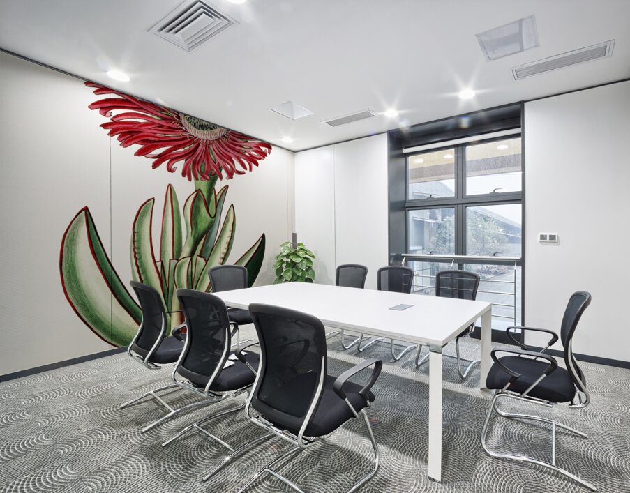 Red-Edged Fig Marigold from Edwards Botanical Register 1829-1847  by Sydenham Edwards John Lindley and James Ridgway. Wall Printing