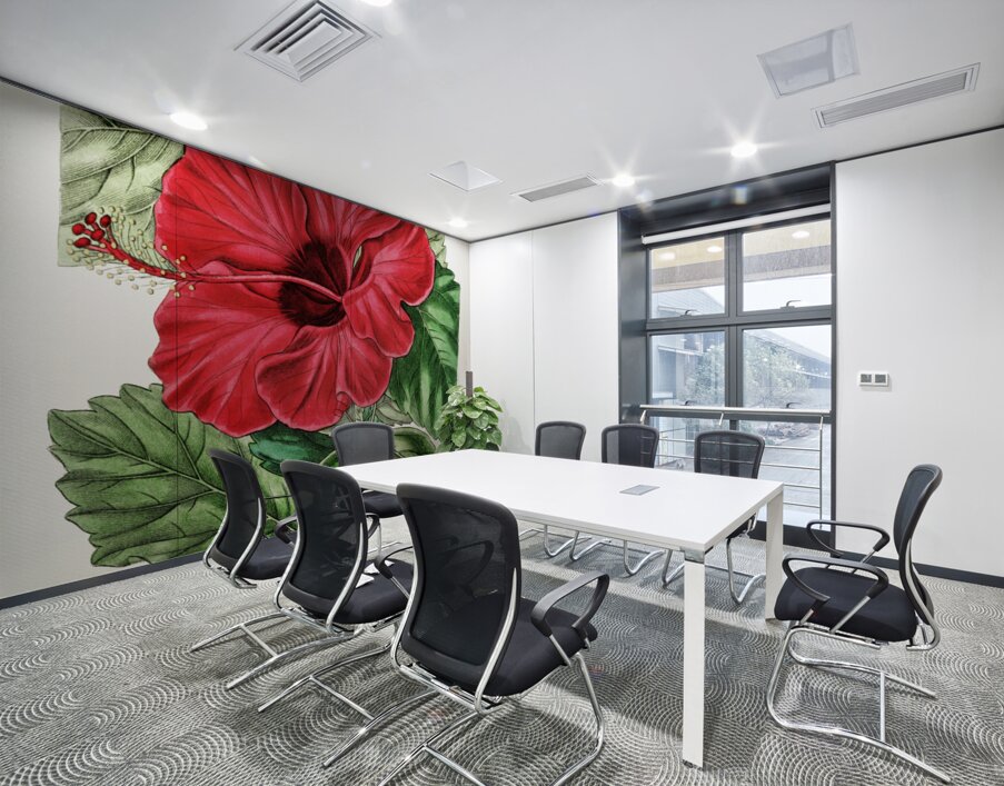 Single-flowered Chinese rose mallow from Edwards Botanical Register 1829-1847  by Sydenham Edwards John Lindley and James Ridgway. Wall Printing