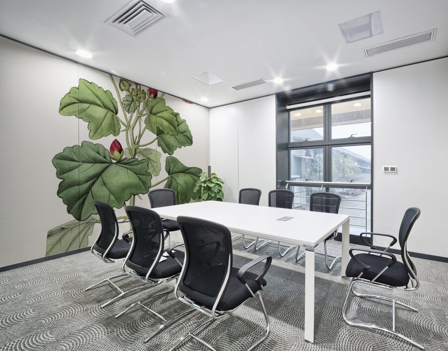 Rhomb leaved palavia from Edwards Botanical Register 1829-1847  by Sydenham Edwards John Lindley and James Ridgway. Wall Printing