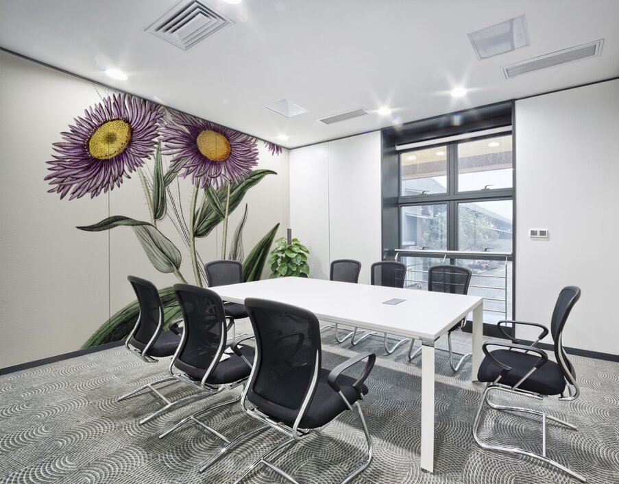 Shewy stenactis from Edwards Botanical Register 1829-1847  by Sydenham Edwards John Lindley and James Ridgway. Wall Printing