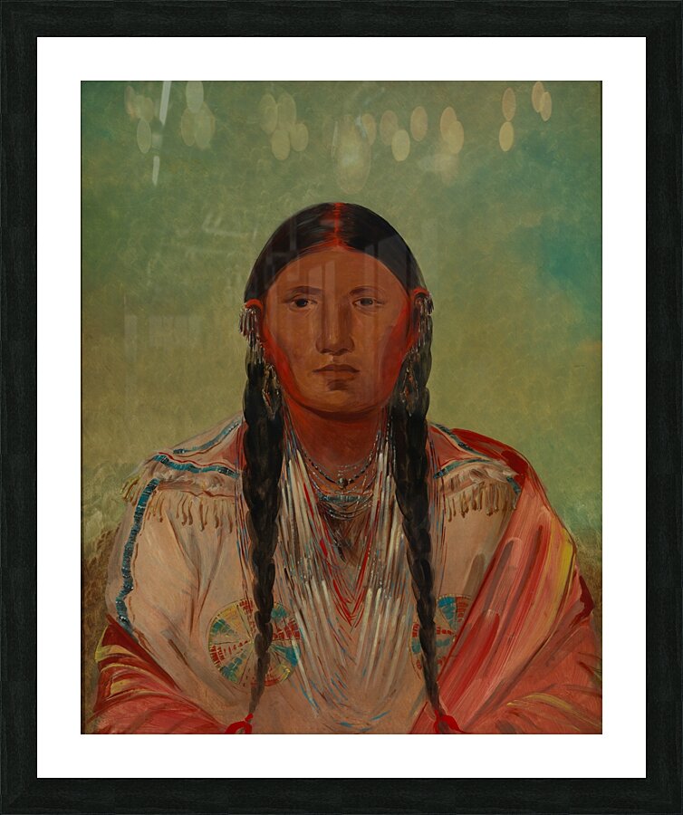 Ru-Ton-Wee-Me Pigeon On The Wing 1844 Picture Frame print