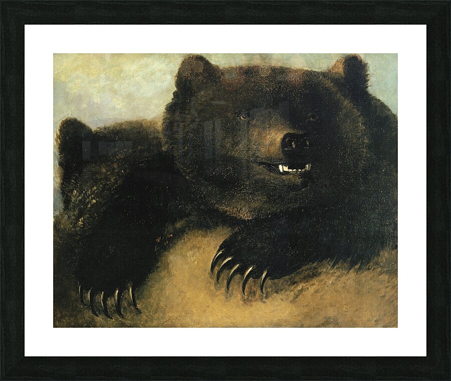 Weapons and Physiognomy of the Grizzly Bear 1846-1848 Picture Frame print