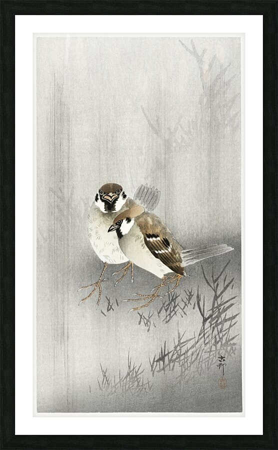 Two ring sparrows in the rain 1900 - 1930 by Ohara Koson 1877-1945. Picture Frame print