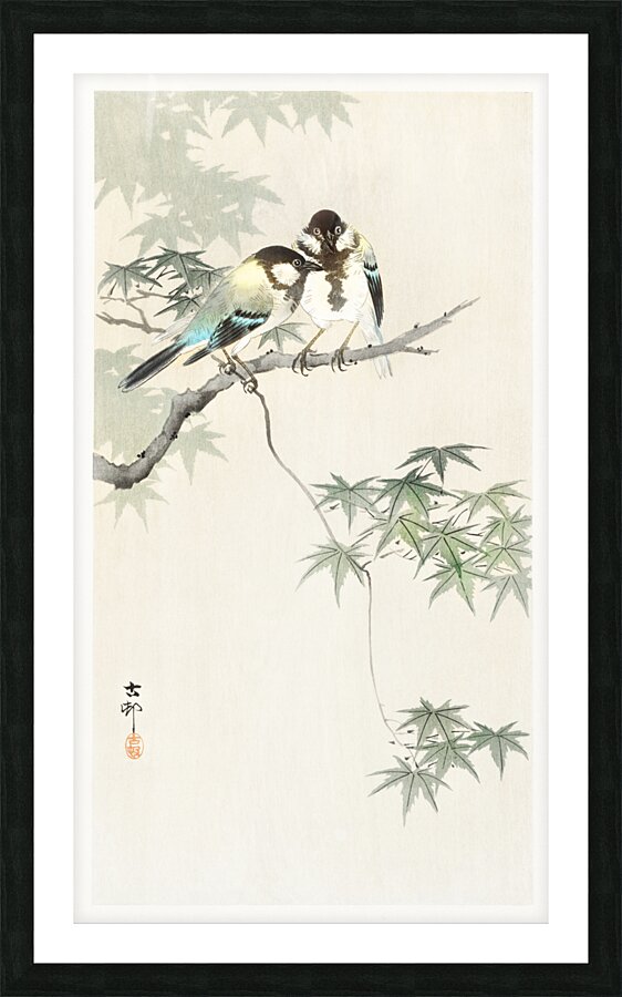 Great tits on maple branch 1900 - 1936 by Ohara Koson 1877-1945. Picture Frame print