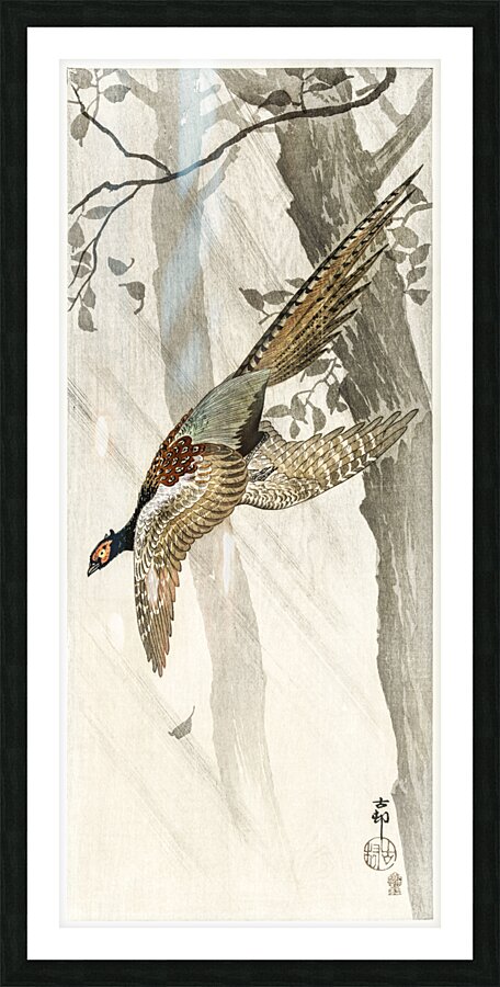 Flying pheasant 1900 - 1910 by Ohara Koson 1877-1945. Picture Frame print