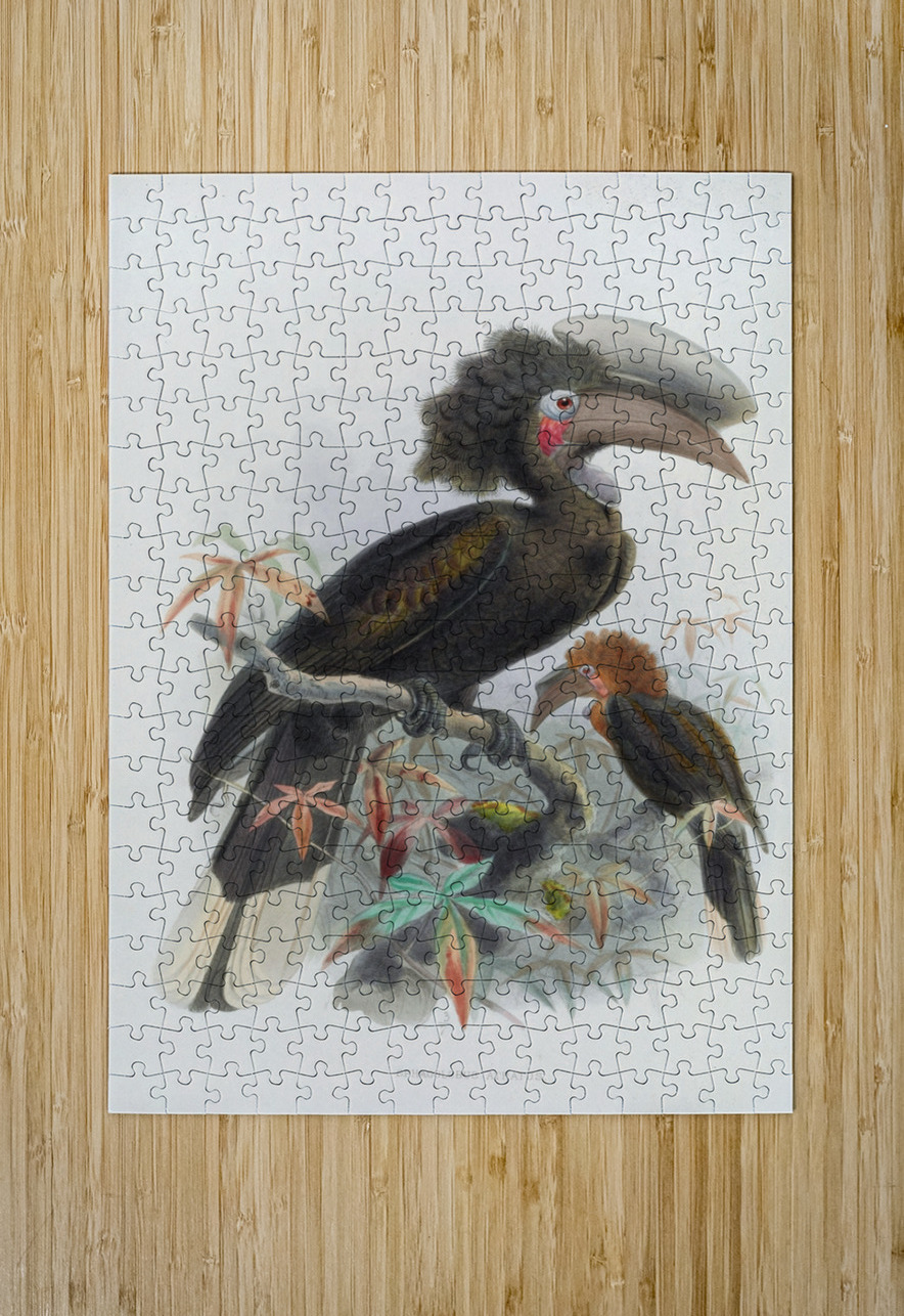 Sphagolobus atratus 1882 IStockHistory com Puzzle printing