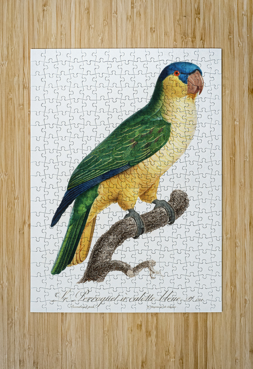 Buru green parrot  IStockHistory com Puzzle printing