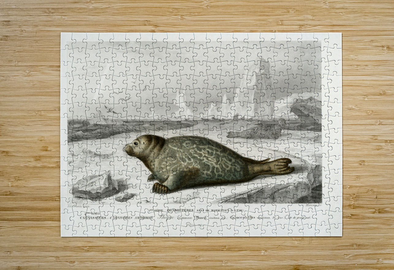 Phoca IStockHistory com Puzzle printing