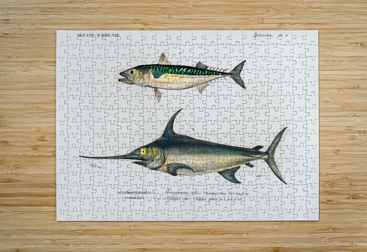 Different types of beetles IStockHistory com Puzzle printing