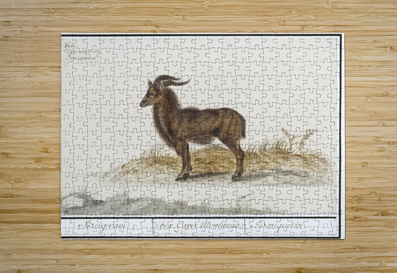 Ibex in vintage style IStockHistory com Puzzle printing