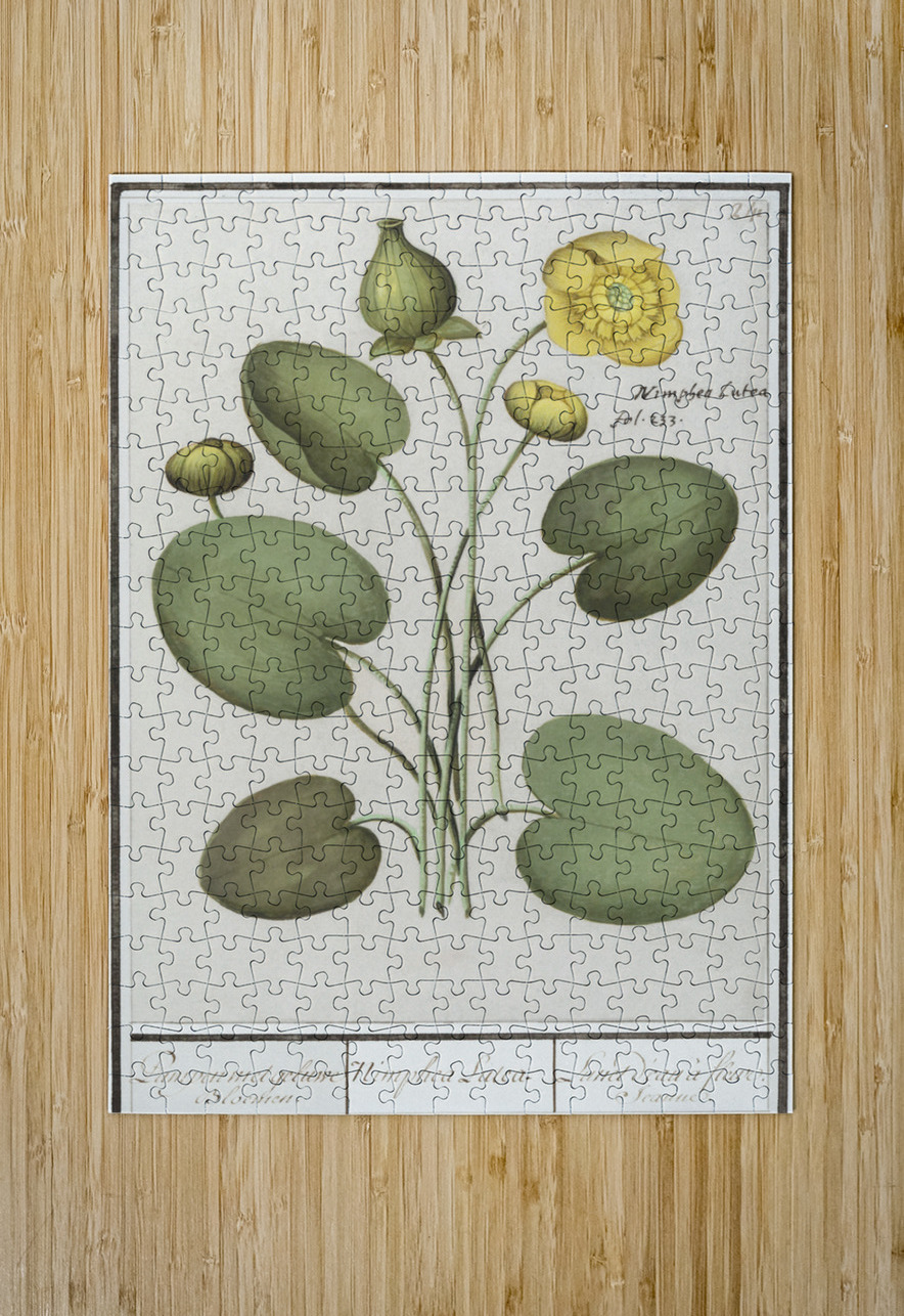 Yellow floppy flower IStockHistory com Puzzle printing