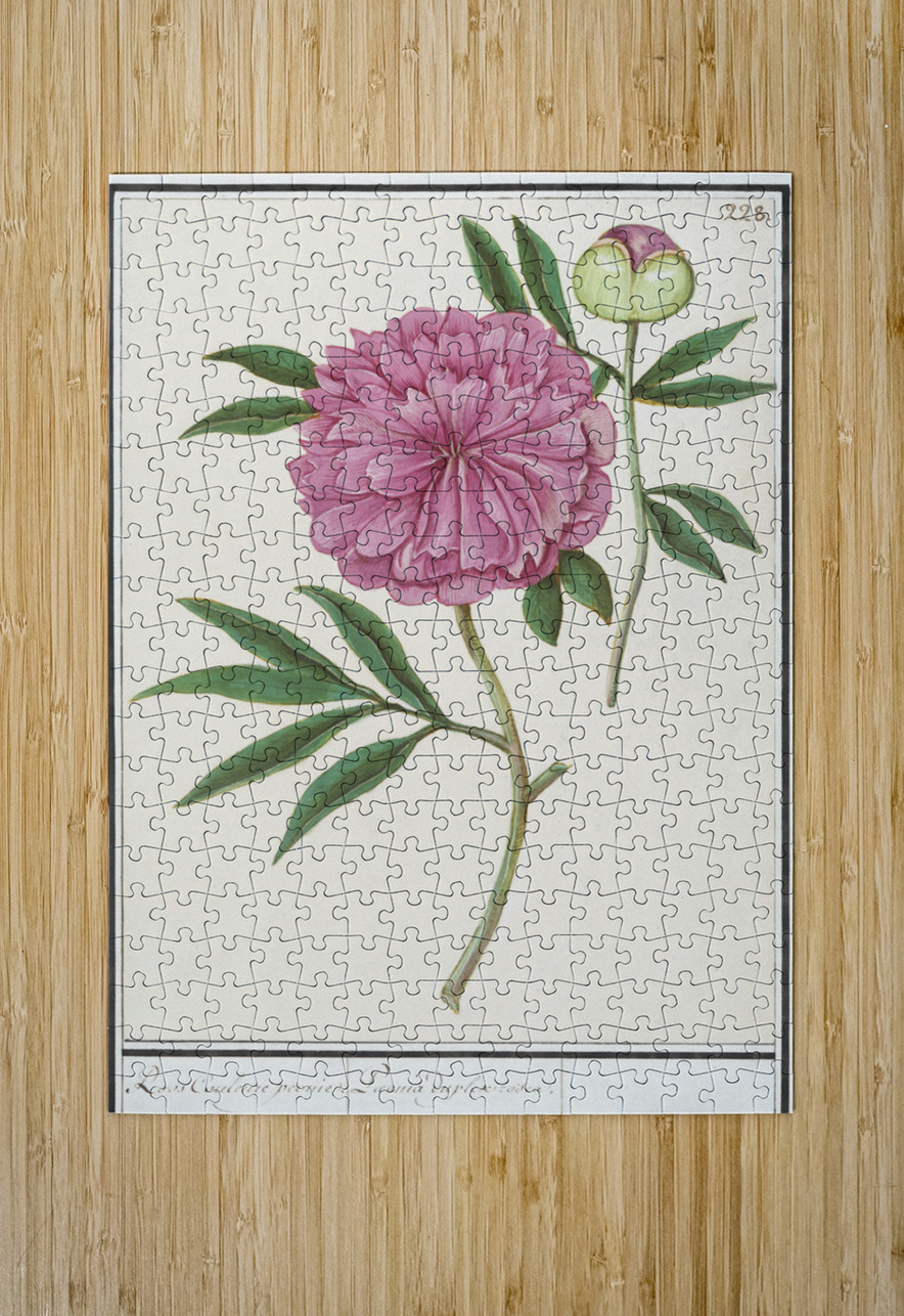 Peony in vintage style IStockHistory com Puzzle printing