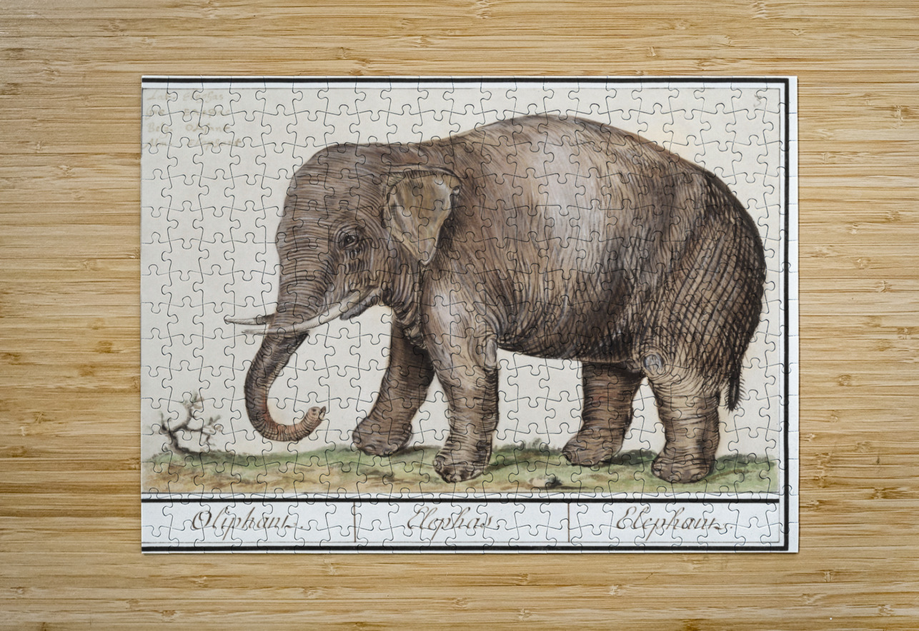 Elephant in vintage style IStockHistory com Puzzle printing