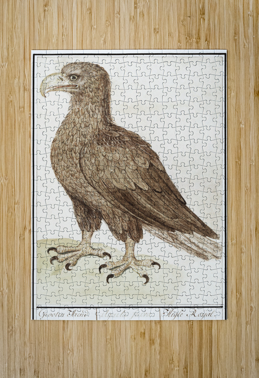 White-tailed eagle in vintage style IStockHistory com Puzzle printing