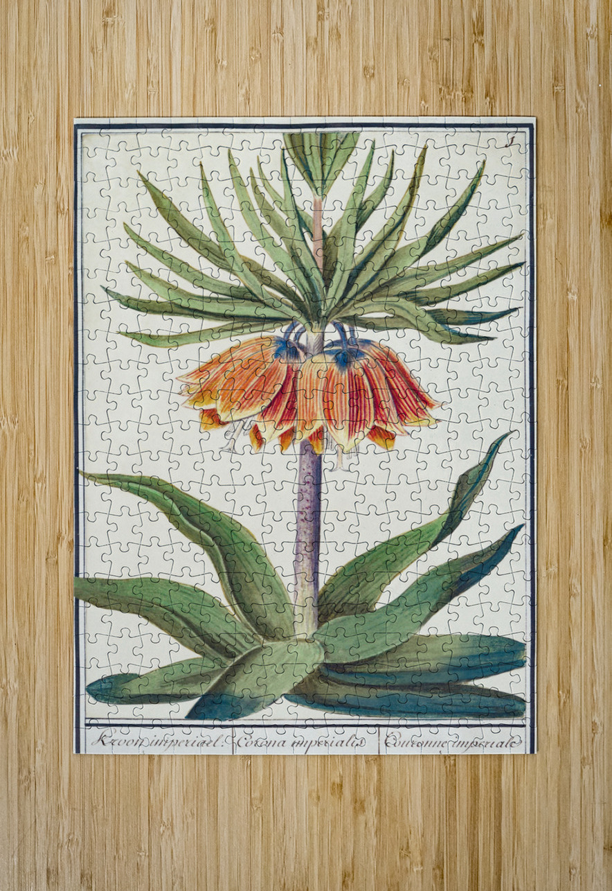 Kaisers crown in vintage style IStockHistory com Puzzle printing