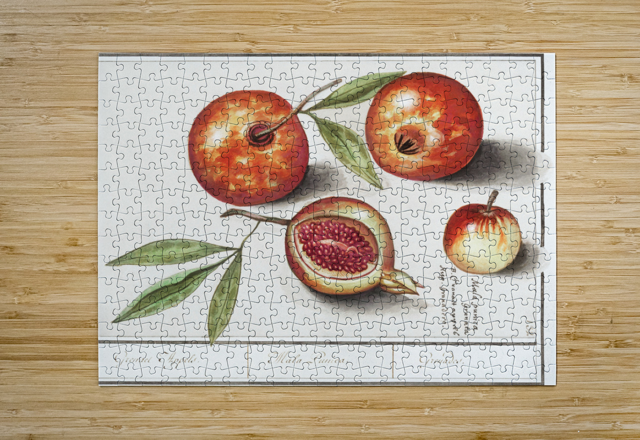 Olive in vintage style IStockHistory com Puzzle printing
