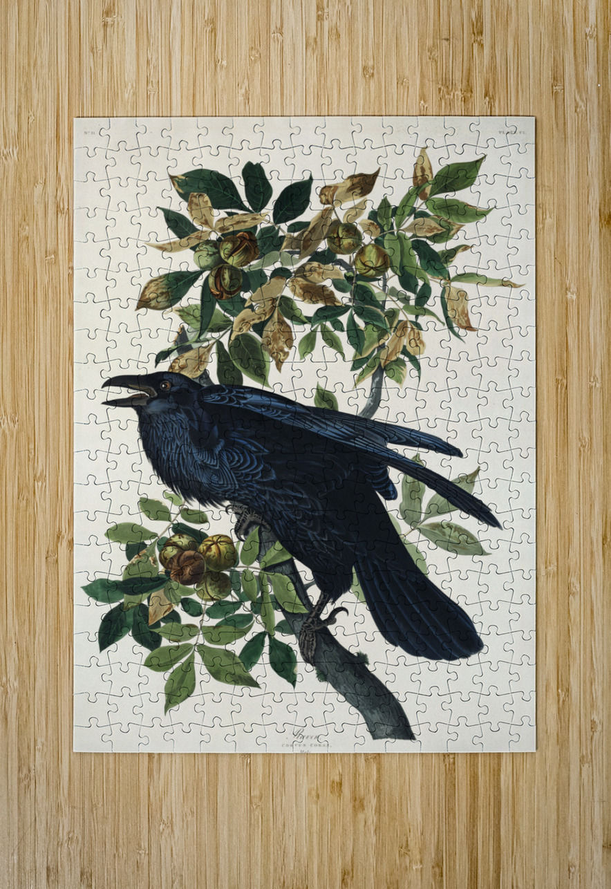 Raven IStockHistory com Puzzle printing