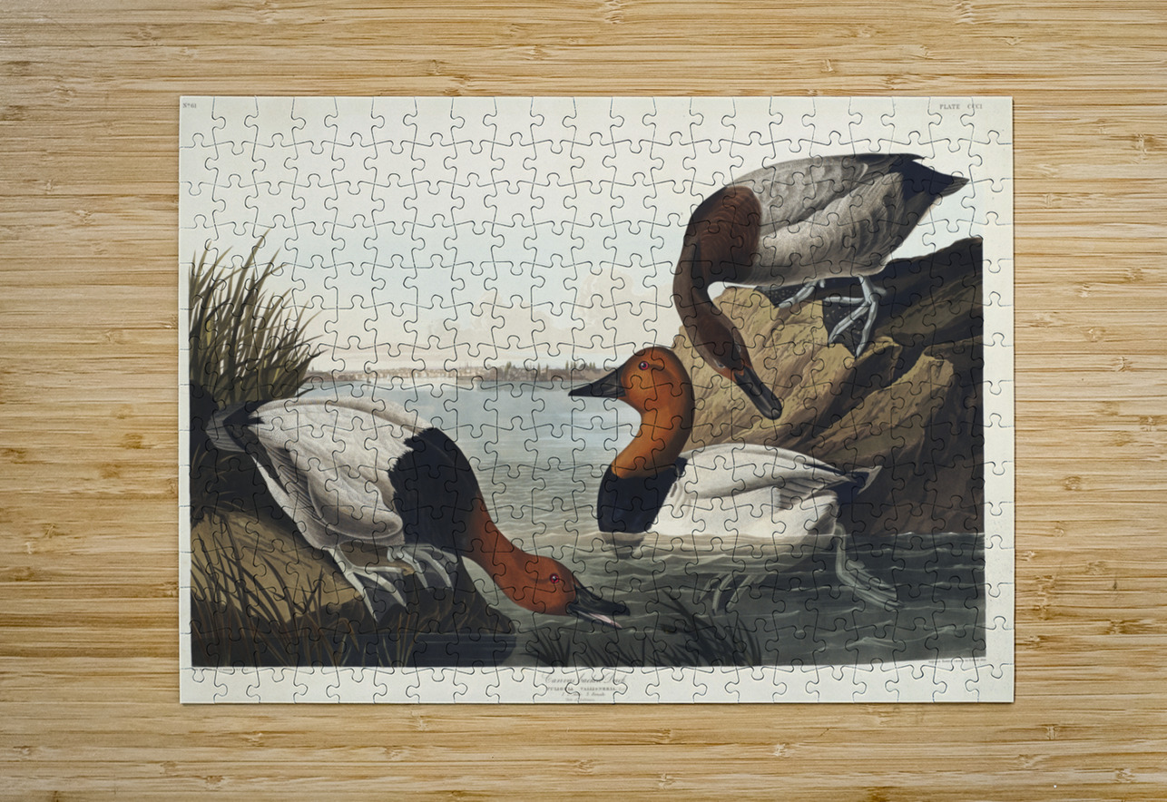American Redstart IStockHistory com Puzzle printing