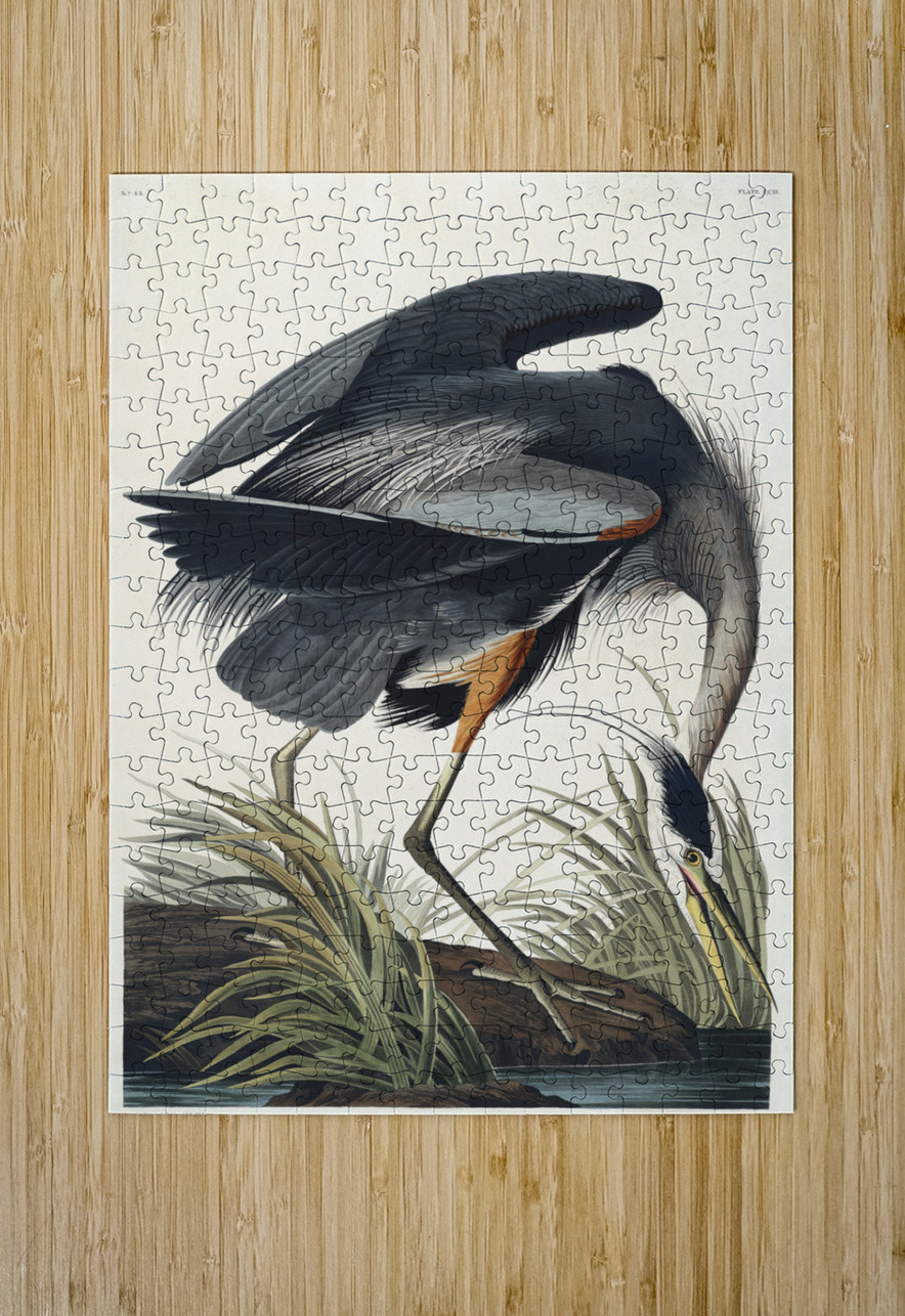 Golden-crowned Thrush IStockHistory com Puzzle printing