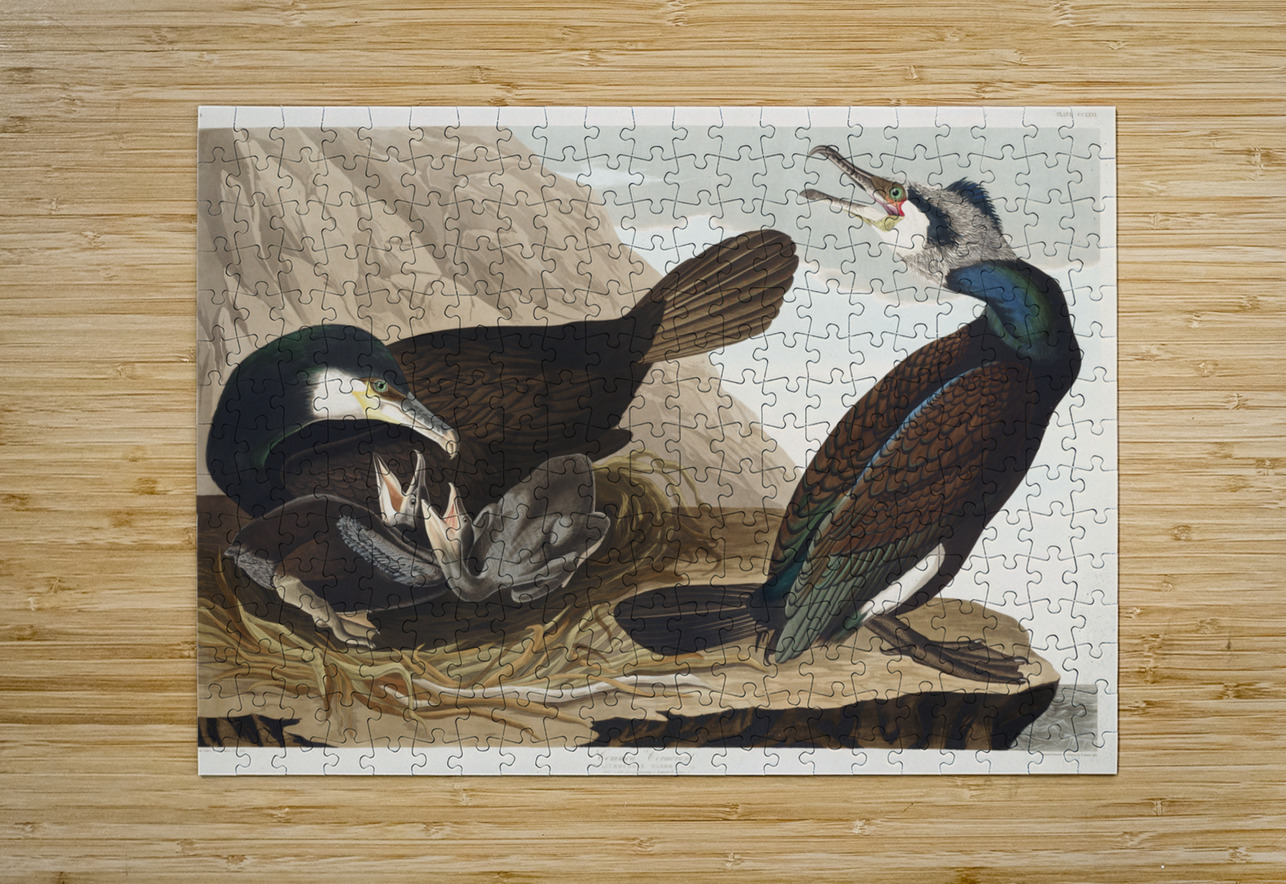 Common Cormorant IStockHistory com Puzzle printing