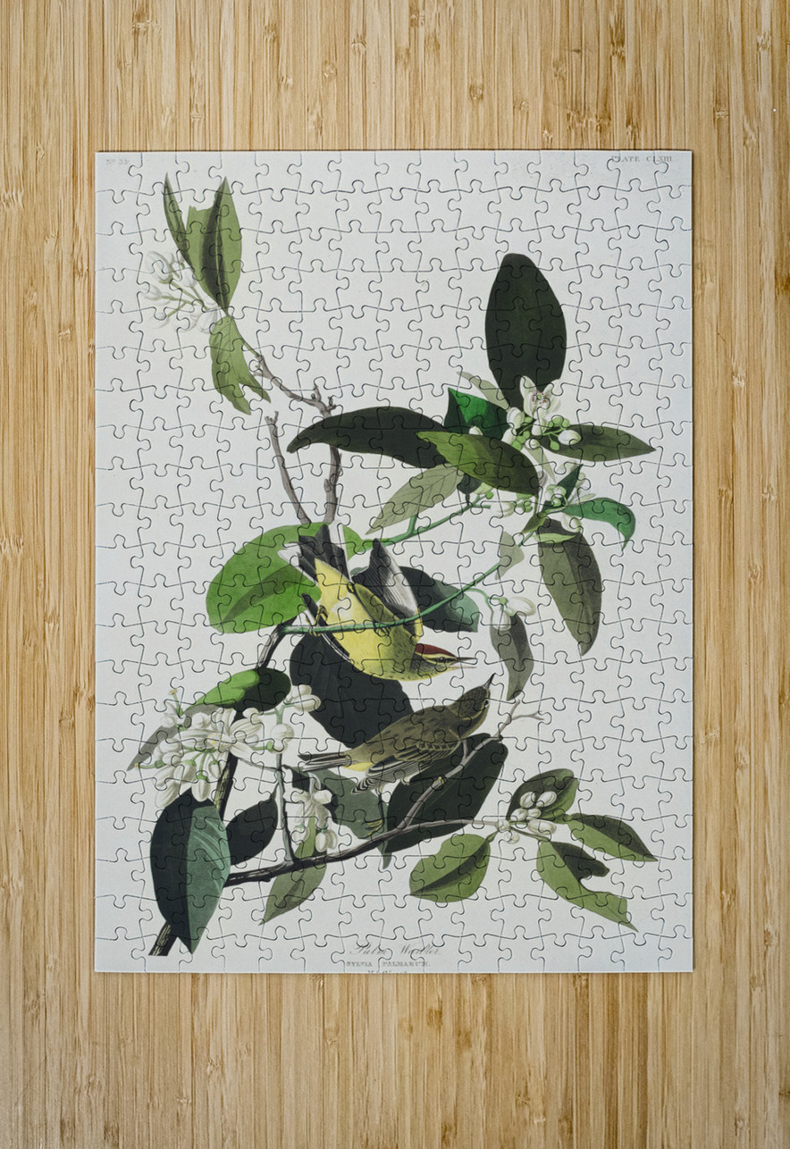 Palm Warbler IStockHistory com Puzzle printing