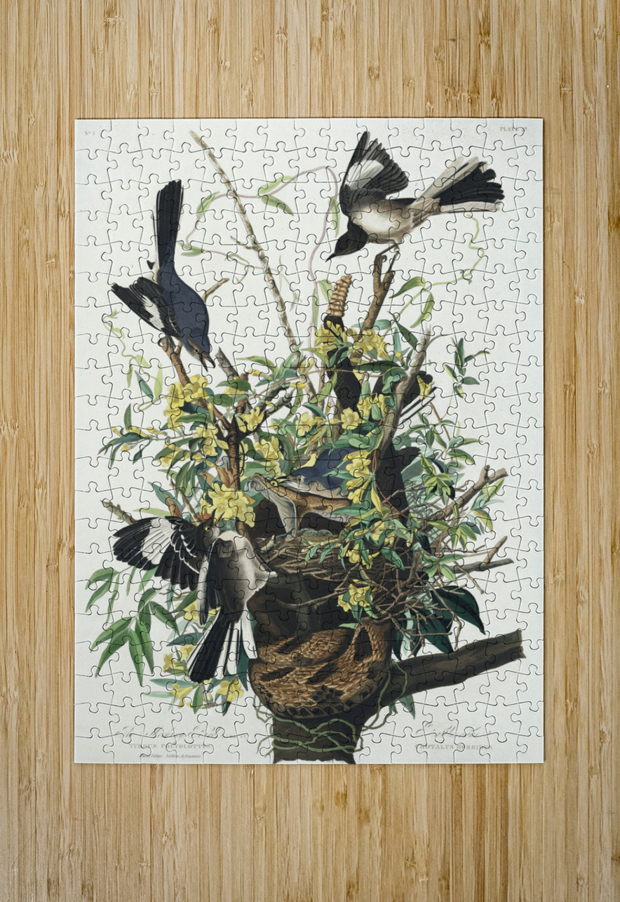 Mocking Bird IStockHistory com Puzzle printing