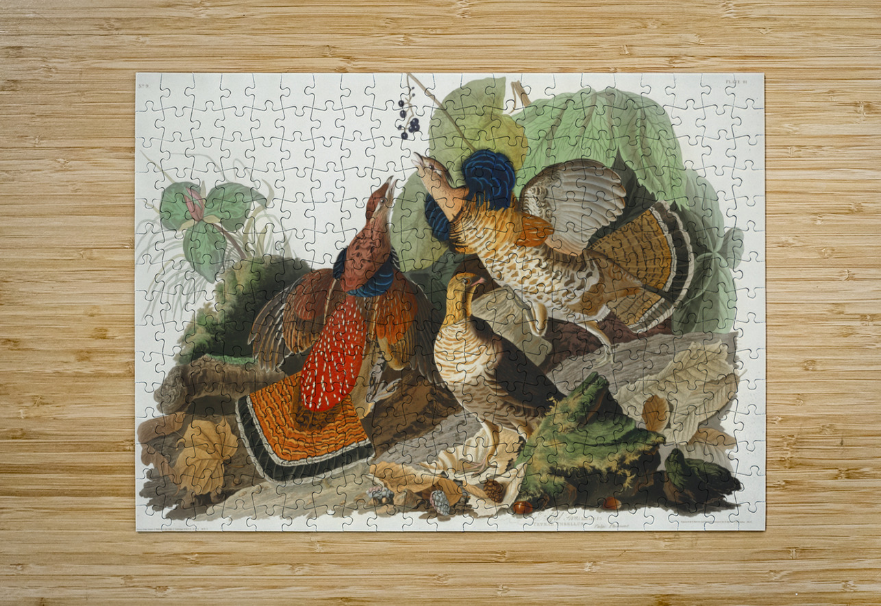 Ruffed Grouse IStockHistory com Puzzle printing