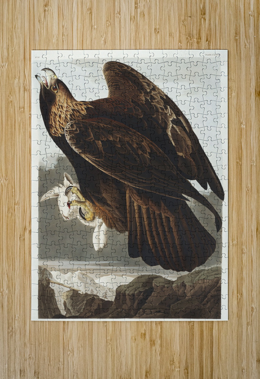 Golden Eagle IStockHistory com Puzzle printing