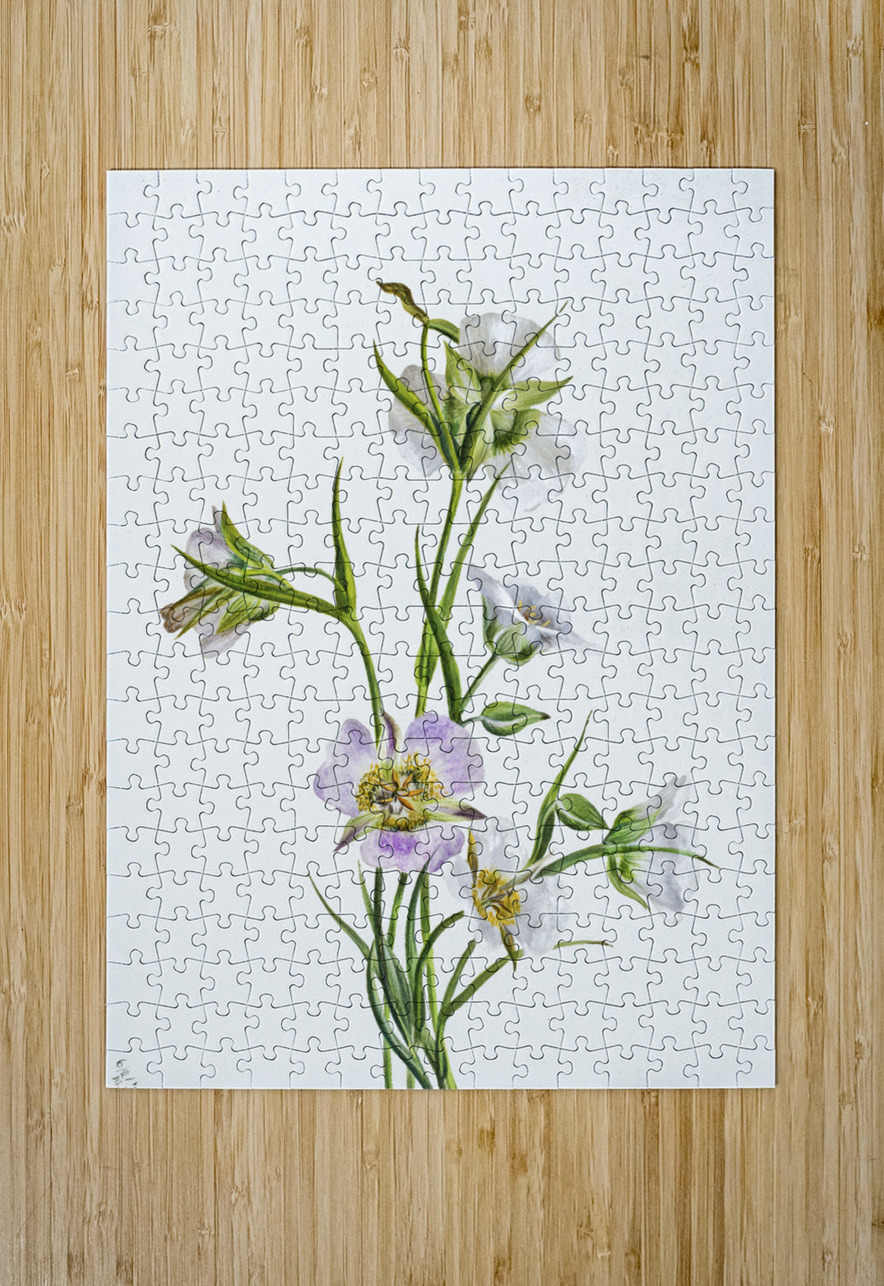 On the Road to Monument 1881 IStockHistory com Puzzle printing