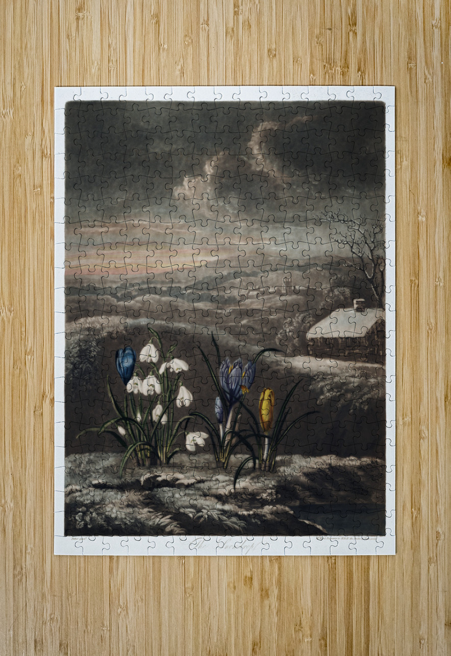The Snowdrops IStockHistory com Puzzle printing