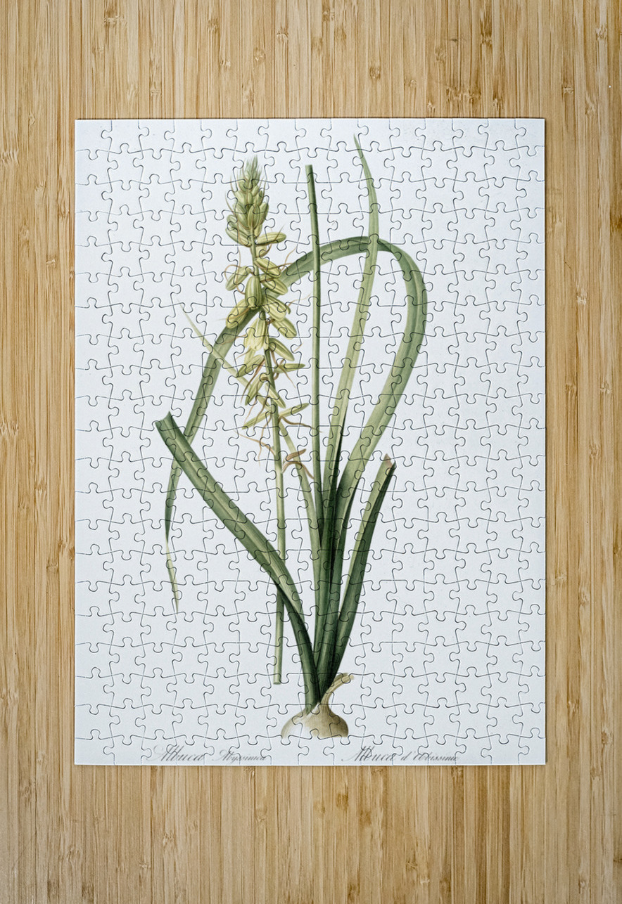 Koyosa illustration  IStockHistory com Puzzle printing